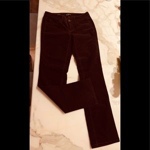 Burgandy modern straight leg corduroy pants.